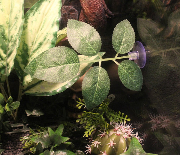 fake plants for reptile terrarium Abu I Pet Reptile Terrarium Habitats Fake Plants Artificial Leaves HL-