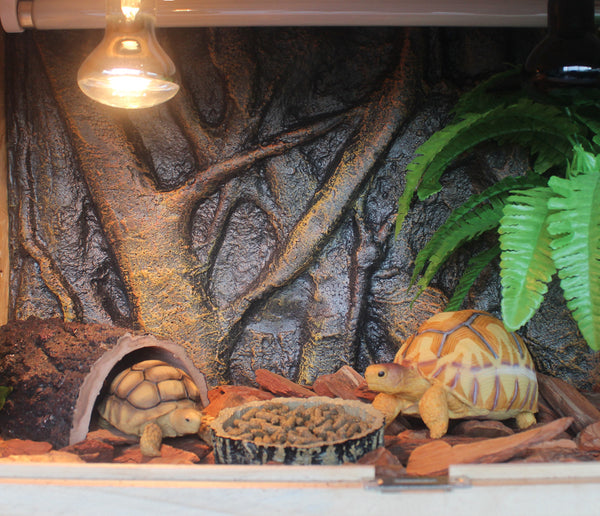 Abu I Pet 3D Foam Backgrounds Reptile Tank Board and Habitat Decoration 9 Styles